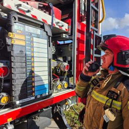 Firma Usługowo- Handlowa Patryk Włoch - Drewno Do Kominka Dobrzyca