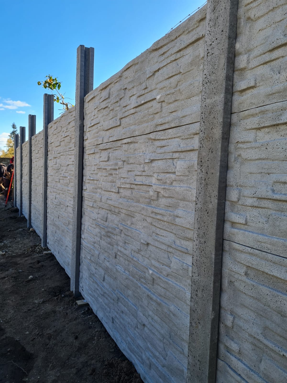 Fragment betonowego ogrodzenia panelowego o fakturze piaskowca, widoczne słupki i panele, na górze ogrodzenia cienki drut, świeżo posadzona roślina przy słupku, ziemia wokół ogrodzenia.