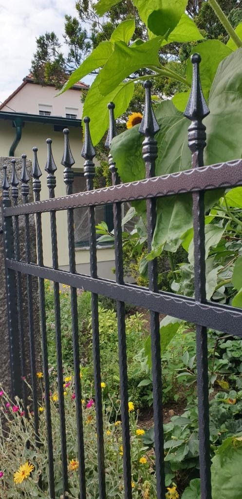 Ciemna, metalowa ogrodzenie z ozdobnymi grotami, zza którego wyłania się fragment domu i kwitnący ogród, w tle widoczny słonecznik.