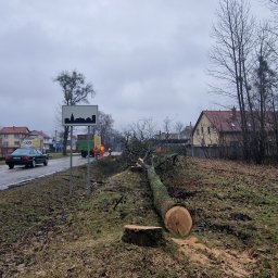 Pielęgnacja ogrodów Białystok 2