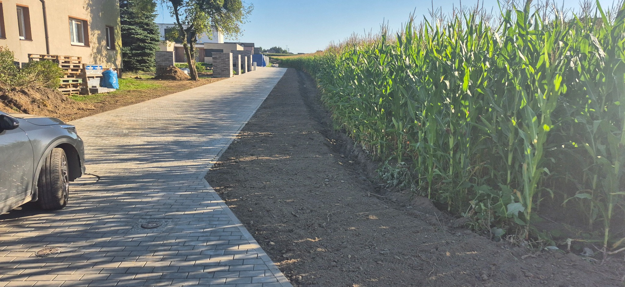 Długa, szara ścieżka z kostki brukowej, oświetlona promieniami słońca, biegnie wzdłuż pola kukurydzy. Częściowo widoczny samochód po lewej stronie kadru.