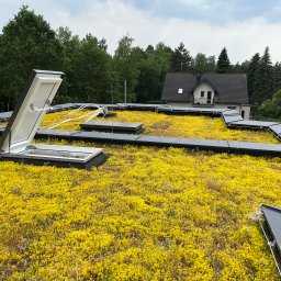 Dtf Wykonawstwo - Cieśla Kraków