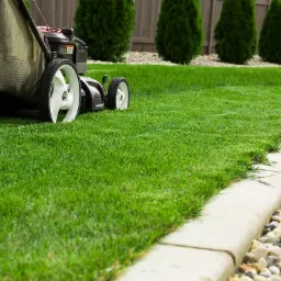 Kosiarka z koszem na trawę na idealnie przystrzyżonym trawniku, widoczne obrzeże trawnika i ozdobne iglaki w tle.