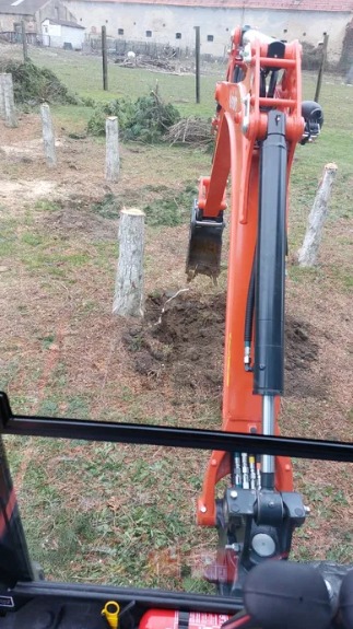 Pomarańczowa mini-koparka Kubota z łyżką kopie dół w ziemi, widok z kabiny operatora, w tle widoczne ścięte pnie drzew i budynek gospodarczy.