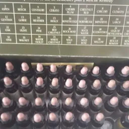 Zestaw 38 esencji kwiatowych Bacha w ciemnych buteleczkach z korkowymi zamknięciami, ułożonych w pudełku z legendą nazw i numerów.