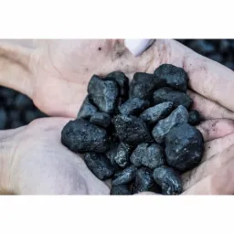 Dłonie trzymające bryłki węgla, widoczne drobne zabrudzenia na skórze, jeden paznokieć pomalowany na jasny kolor.