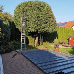 twoj ogrod uslugi ogrodnicze i odsniezania dachowe michal pupek - Drewno Bukowe Hażlach