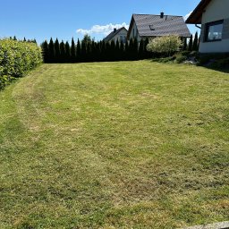 twoj ogrod uslugi ogrodnicze i odsniezania dachowe michal pupek - Świeżo skoszony trawnik przed domem jednorodzinnym w słoneczny dzień, widoczne resztki trawy po koszeniu.