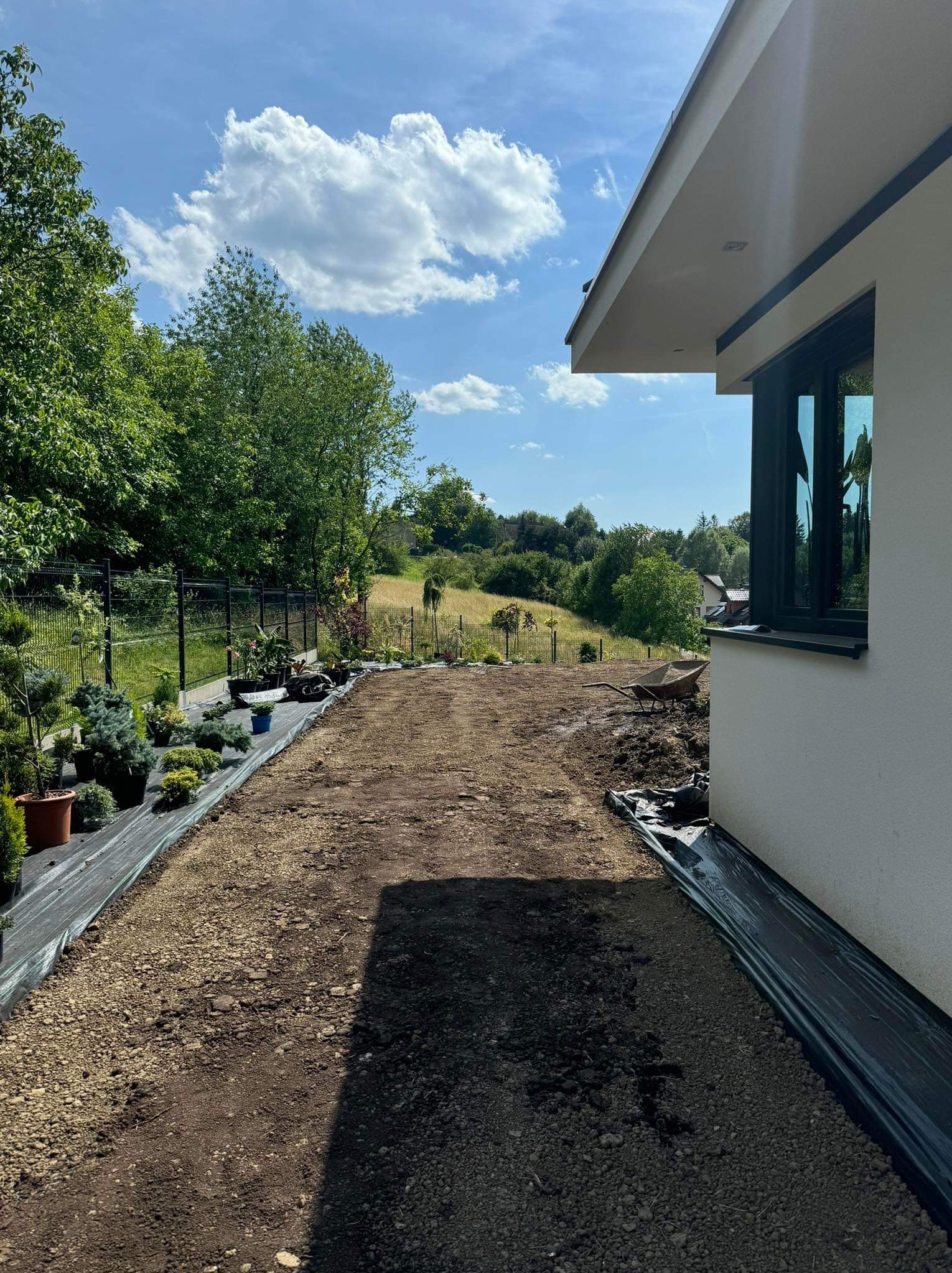 Przygotowany teren pod trawnik z rolki, widoczne obrzeża z czarnej folii, rośliny w doniczkach czekające na posadzenie, taczka przy ścianie budynku, w tle zielony krajobraz.