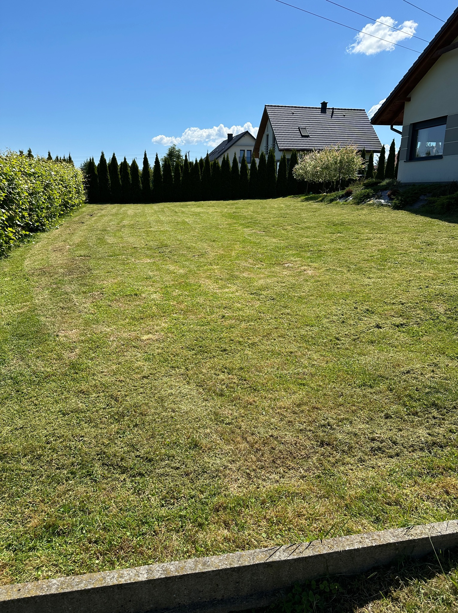Świeżo skoszony trawnik przed domem jednorodzinnym w słoneczny dzień, widoczne resztki trawy po koszeniu.