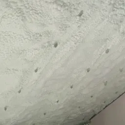 Świeżo natryśnięta, jasna pianka izolacyjna na poddaszu, widoczne liczne wgłębienia i nierówności struktury, zarys ściany bocznej.