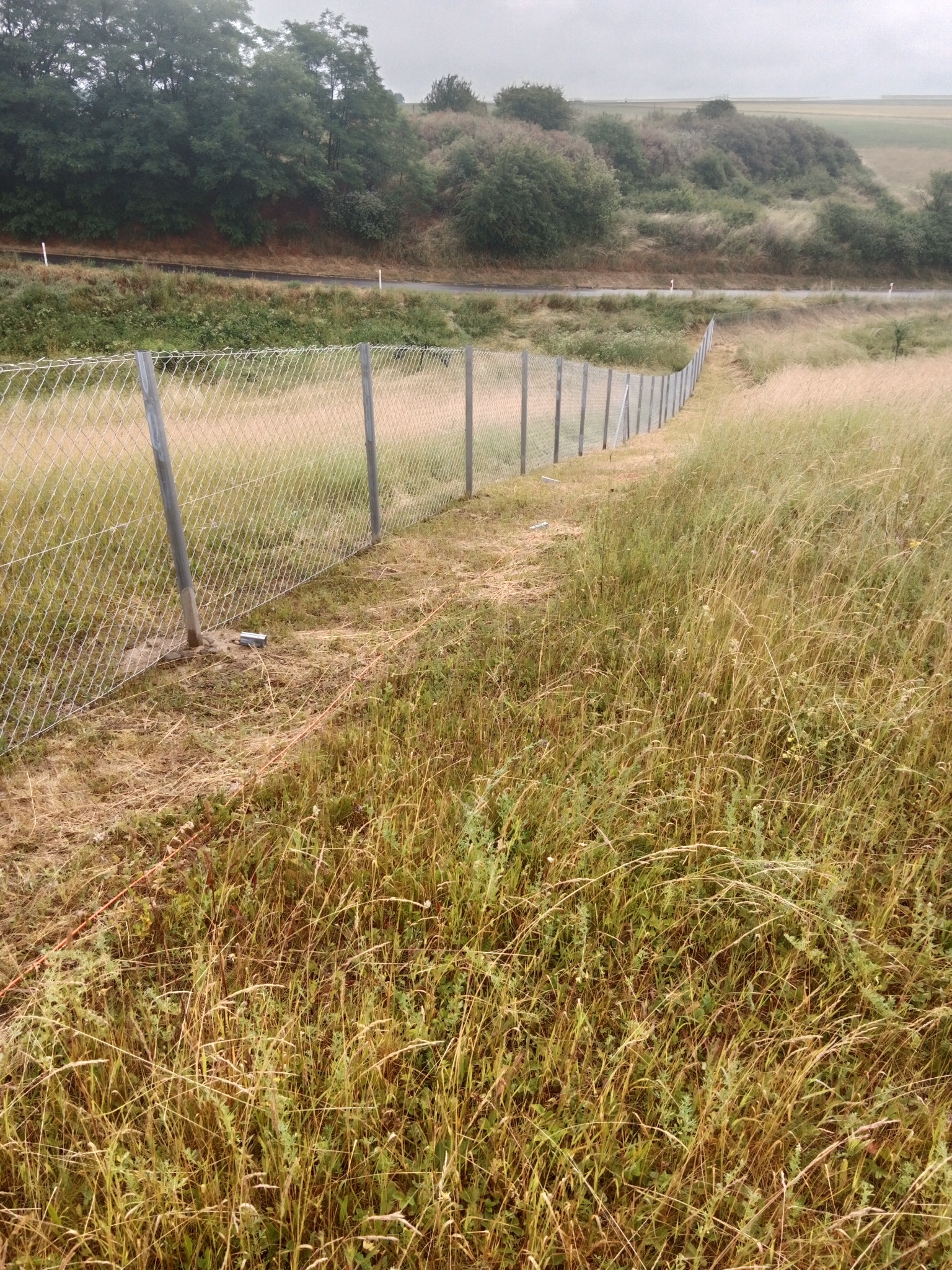 Metalowa siatka ogrodzeniowa z ocynkowanymi słupkami, biegnąca wzdłuż zarośniętego pola w pochmurny dzień, z widoczną drogą w tle.