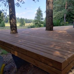 Presto House Olchowik Sp.J. - Drewniany taras zbudowany wokół dwóch drzew, z widokiem na zieloną łąkę i las w tle.