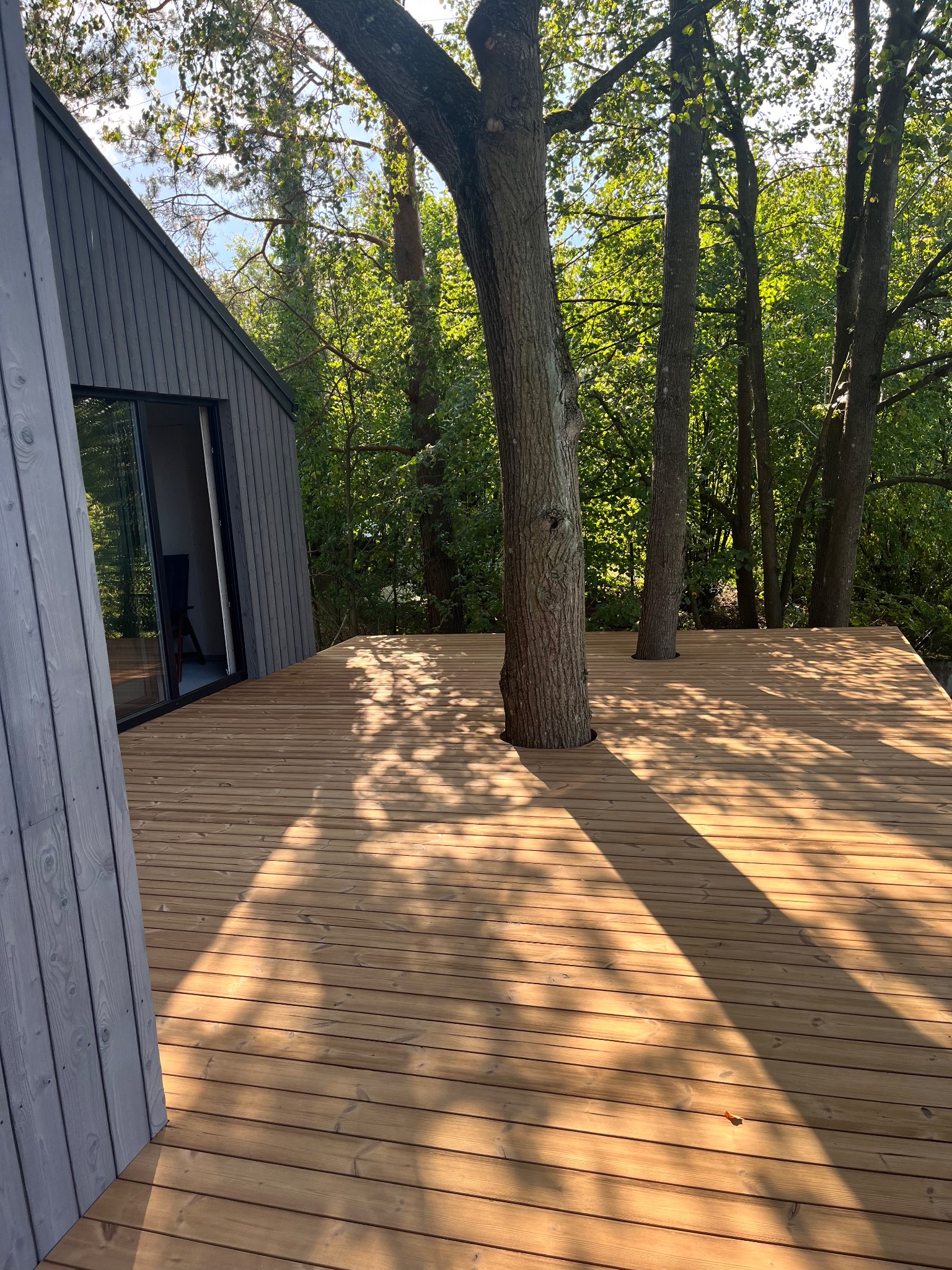 Nowoczesny dom z szarej elewacji z drewnianym tarasem, przez który przechodzą pnie drzew, tworząc naturalny element krajobrazu.