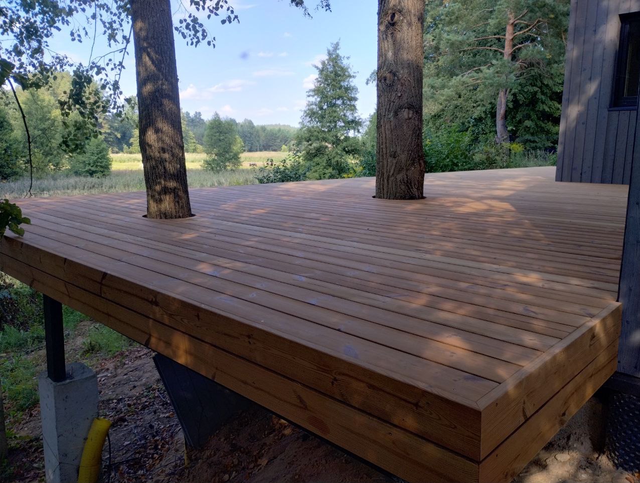 Drewniany taras zbudowany wokół dwóch drzew, z widokiem na zieloną łąkę i las w tle.