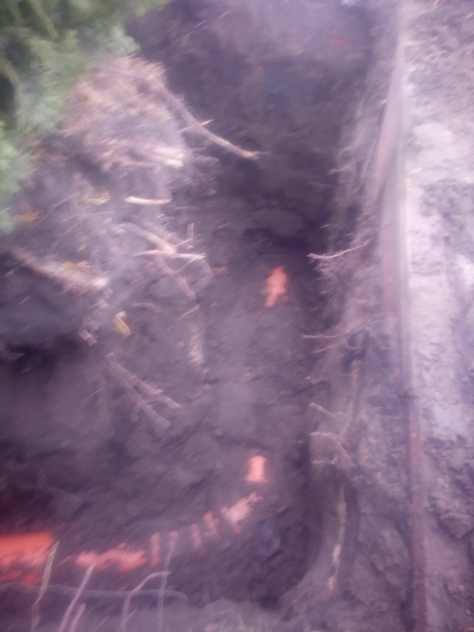 Wykop w ziemi z widocznymi pomarańczowymi przewodami instalacyjnymi, częściowo zasypany ziemią i korzeniami.