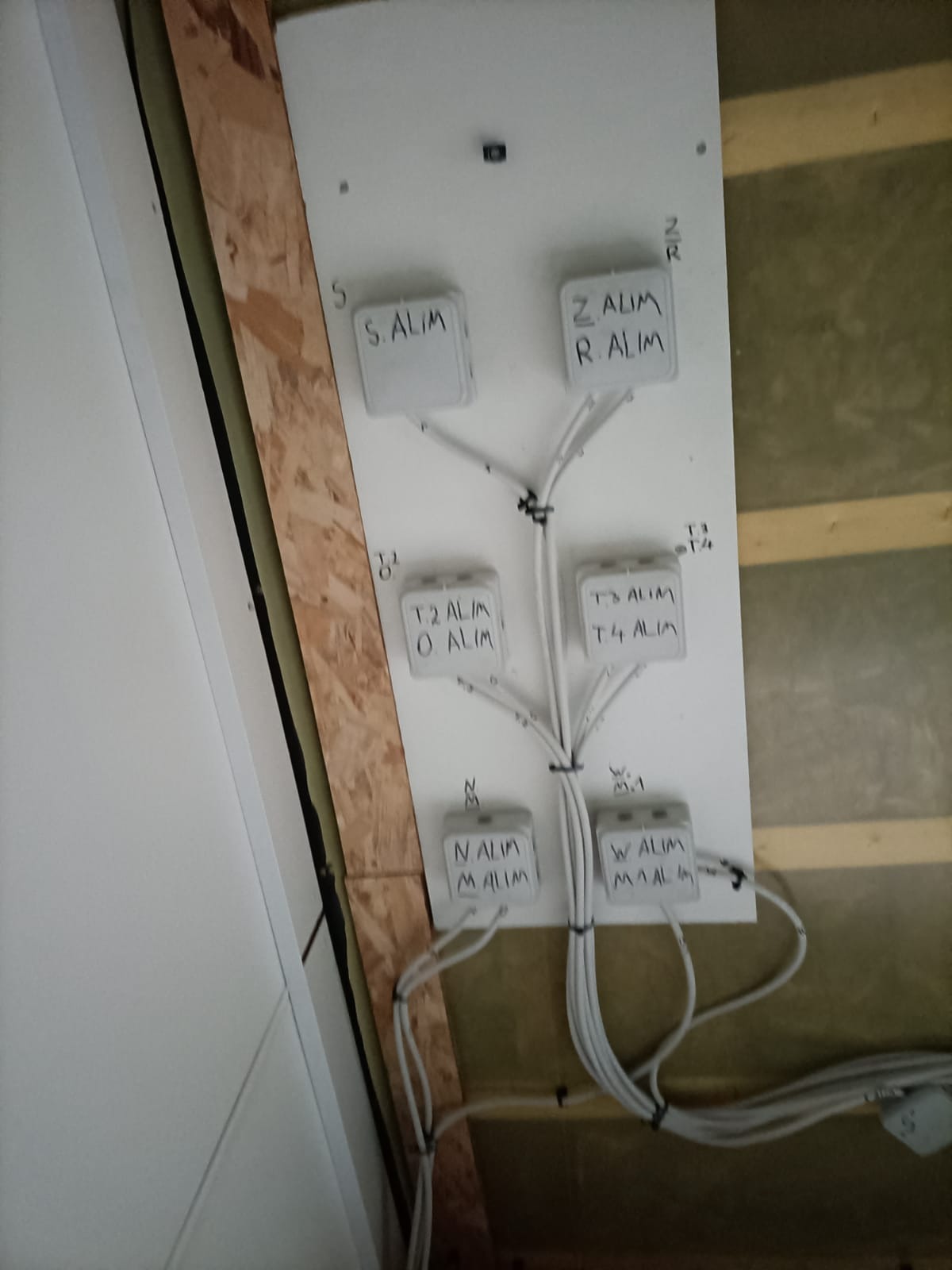 Rozdzielnia elektryczna z sześcioma modułami Alim, przymocowana do płyty OSB w trakcie montażu instalacji w budynku w stanie surowym.