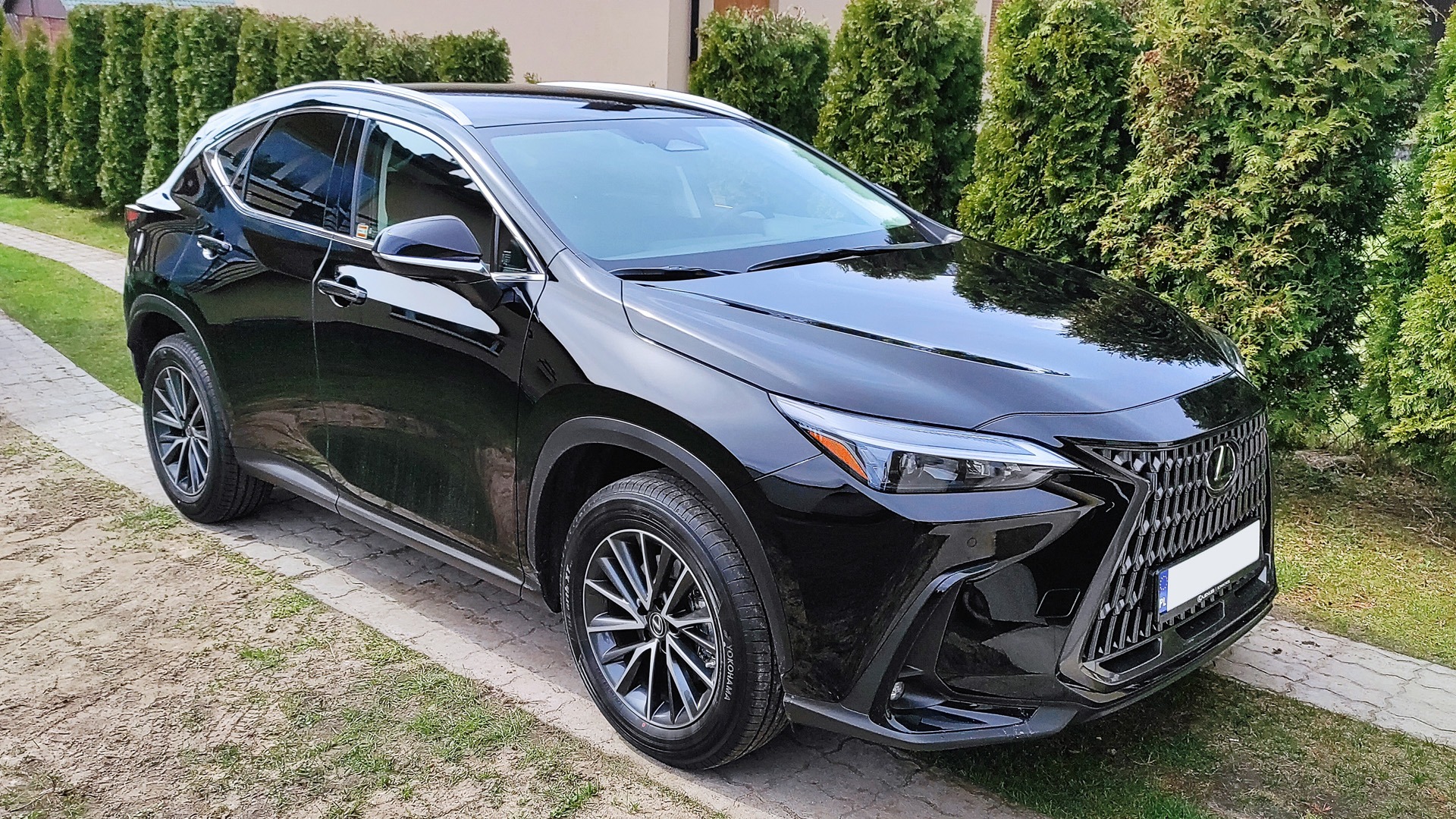 Błyszczący, czarny Lexus NX 350h sfotografowany pod kątem, ukazujący przyciemnione tylne szyby, stojący na kostce brukowej przed zielonymi tujami.