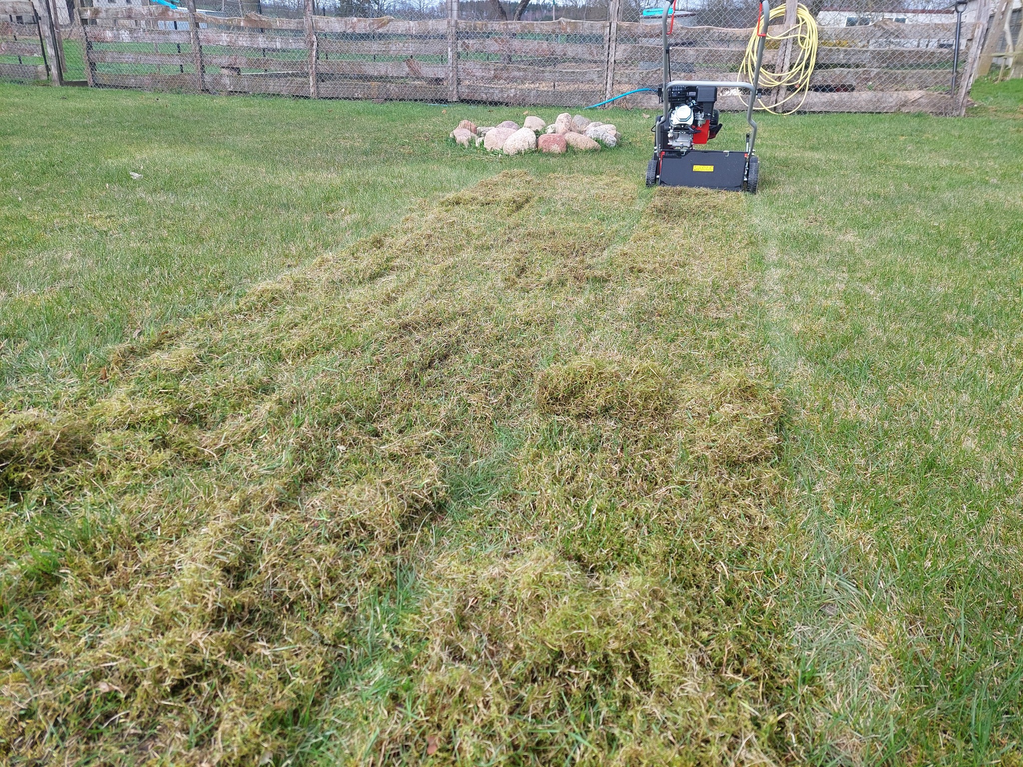 wertykulacja trawnika