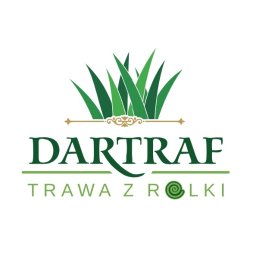 TRAWA Z ROLKI, PRODUCENT DARTRAF, MAZOWIECKIE - Projektowanie Trawników Błonie