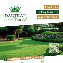 TRAWA Z ROLKI, PRODUCENT DARTRAF, MAZOWIECKIE - Pierwszorzędne Zakładanie Trawników Ożarów Mazowiecki