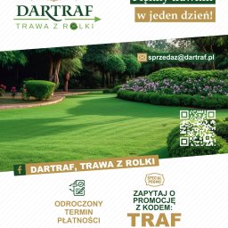 TRAWA Z ROLKI, PRODUCENT DARTRAF, MAZOWIECKIE - Świetne Nowoczesne Ogrody Ożarów Mazowiecki