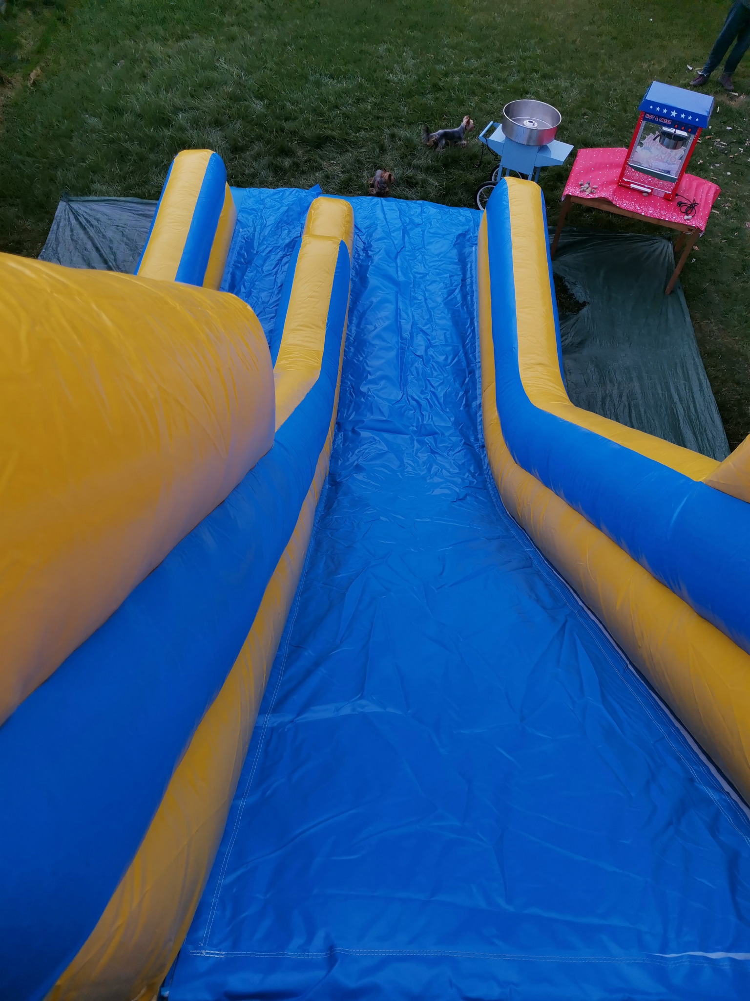 Widok z góry na niebiesko-żółtą dmuchaną zjeżdżalnię na trawie, obok maszyna do waty cukrowej i popcornu, w tle dwa małe psy.