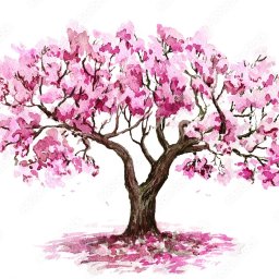 Transport busem Wrocław 1