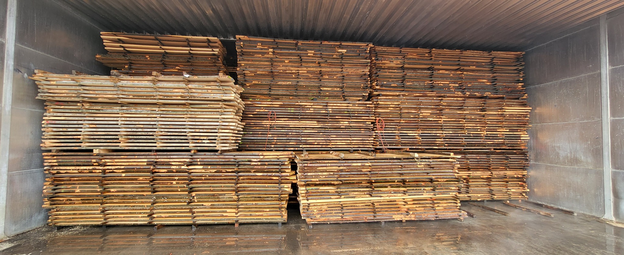 Usługowe suszenie drzewa