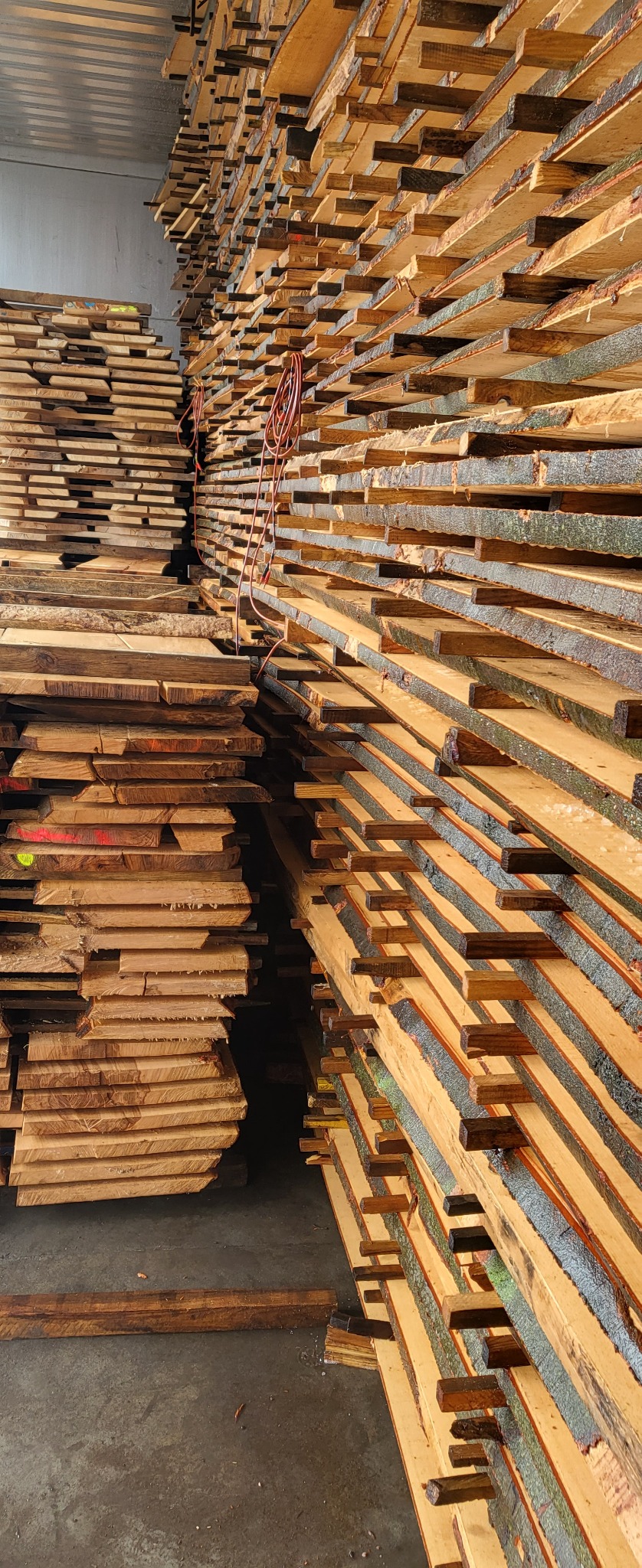 Stosy świeżo przetartego drewna ułożone w magazynie, widoczne deski z korą i przekładkami, przewód elektryczny zwisający z góry.
