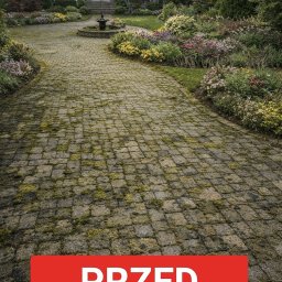 Mycie kostki brukowej Lubawa 2