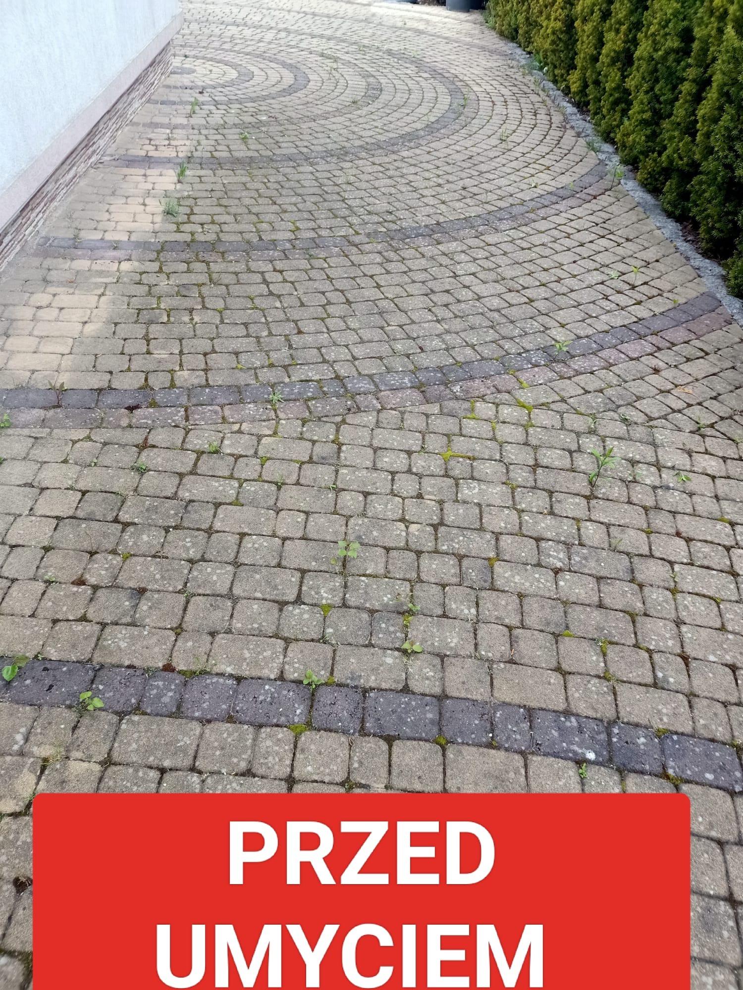 Zaniedbana kostka brukowa z mchem i chwastami, ułożona w dekoracyjny wzór. Widoczny napis 'PRZED UMYCIEM' na czerwonym tle. Perspektywa z góry.