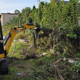 AS Sławomir Krajewski - Żółta mini-koparka JCB karczująca gęste krzewy i zarośla na działce, z widocznymi korzeniami i gałęziami na ziemi. W tle szpaler tui i fragment dachu.