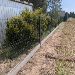 AS Sławomir Krajewski - Nowo postawione ogrodzenie panelowe z ciemnej siatki i betonową podmurówką, biegnące wzdłuż rzędu tui, obok blaszanego budynku gospodarczego. Ziemia po prawej jest oczyszczona.