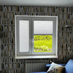 Białe plisowane osłony okienne w oknie z widokiem na zielony ogród, na tle ściana z motywem biblioteczki.
