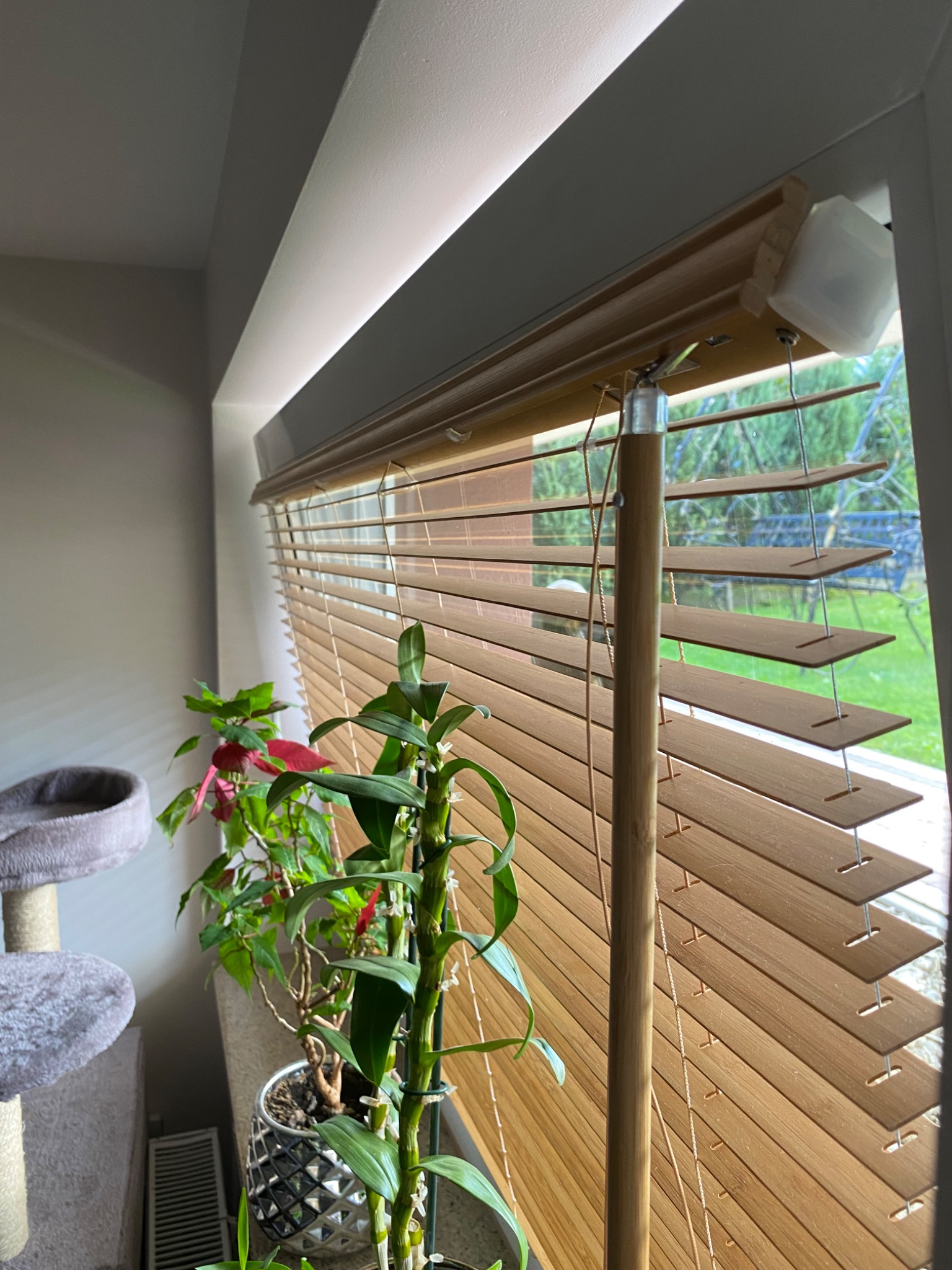 Jasne, drewniane żaluzje poziome w oknie, częściowo zasłonięte, z widokiem na zieleń za oknem, obok doniczka z roślinami i drapak dla kota.