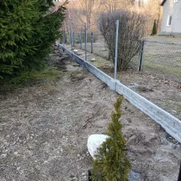 Wkopane, betonowe podmurówki pod ogrodzenie panelowe z widocznymi słupkami, teren wokół rozkopany, na pierwszym planie mała tuja.
