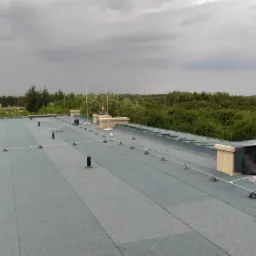 Rozległy, płaski dach pokryty papą, z widocznym systemem odgromowym: liczne maszty, uchwyty i przewody. W tle zieleń drzew i pochmurne niebo.