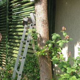 Tarasy drewniane Warszawa 2