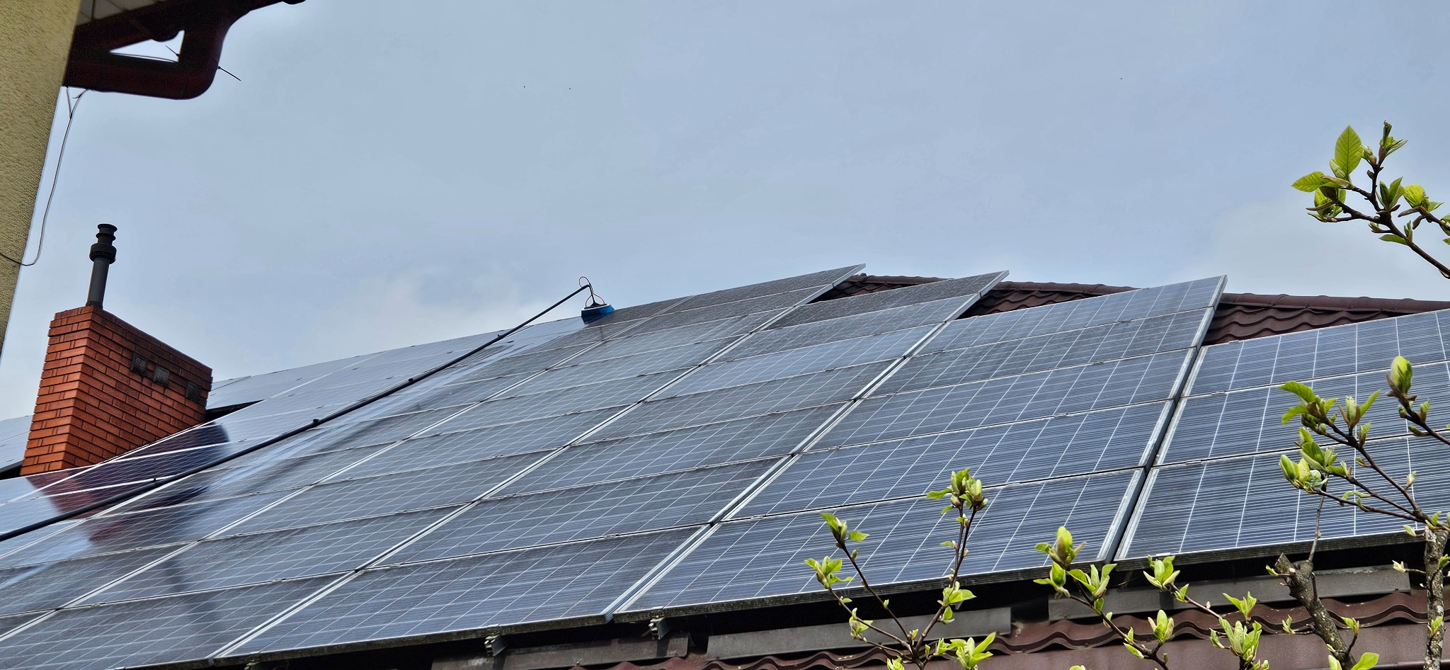 Czyszczenie paneli słonecznych na dachu domu przy użyciu szczotki na długim wysięgniku; widoczny ceglany komin i gałęzie drzewa z młodymi liśćmi.