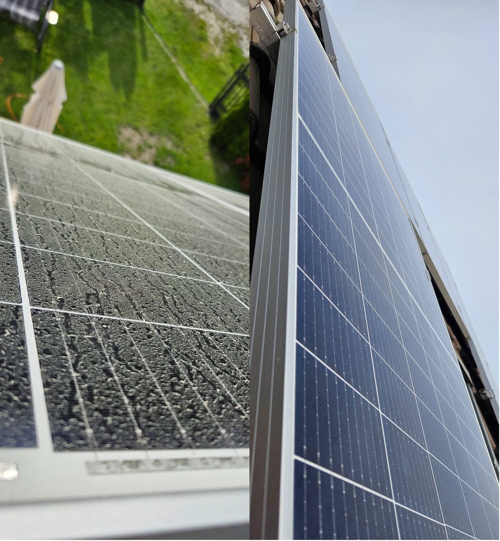 osad z drzew przed i po