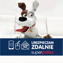 Ubezpieczenie firmy Nysa 3