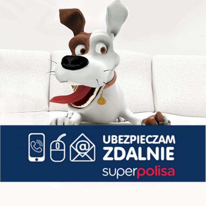 Animowany pies leżący na białej sofie, poniżej napis 'Ubezpieczam zdalnie superpolisa' oraz ikony telefonu, myszki i koperty.