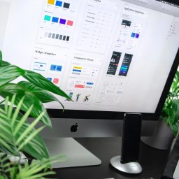 Programista Luboń 4