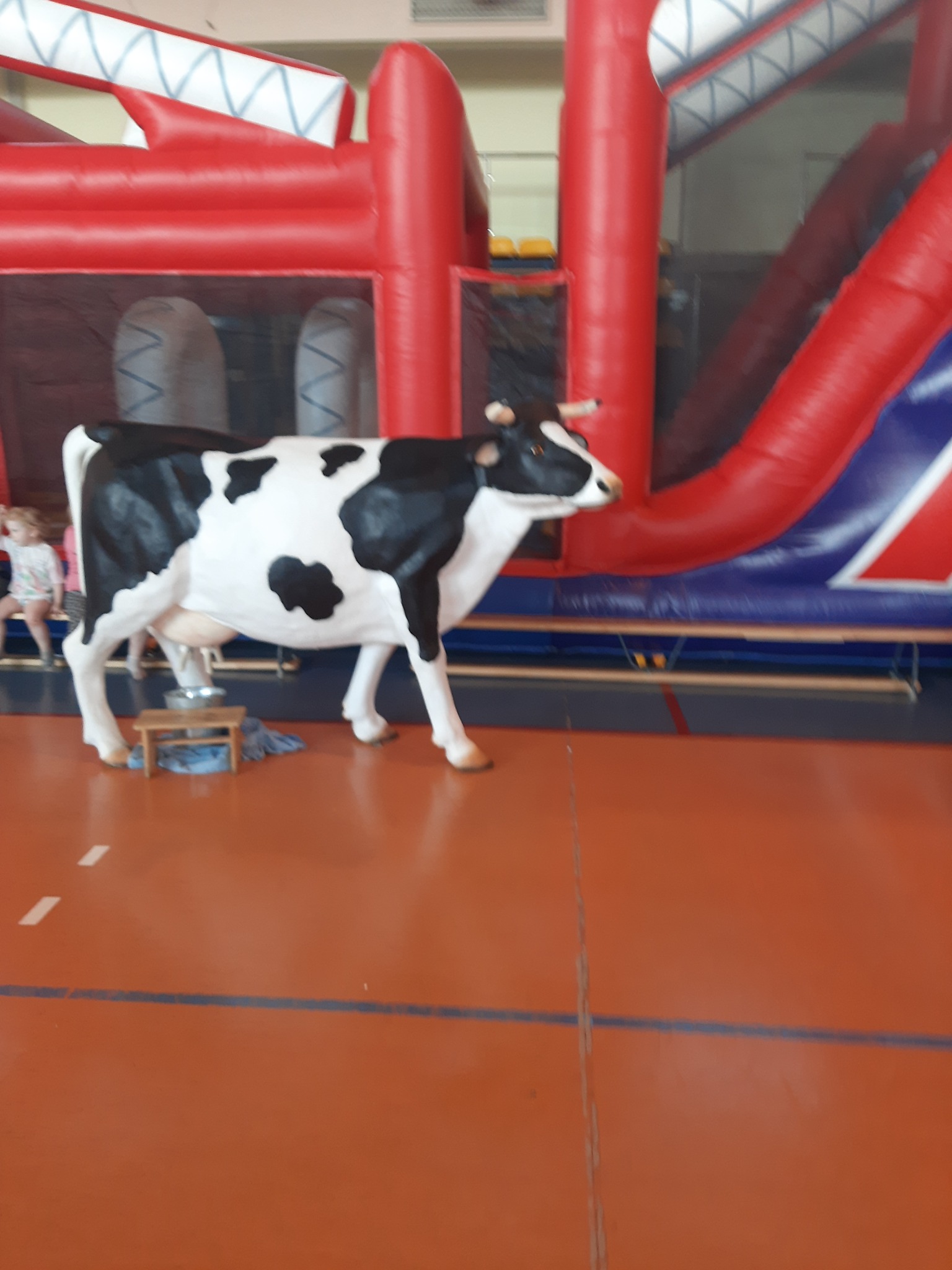 Atrakcja dla dzieci: realistyczna figura krowy z dołączonym stołeczkiem i wiaderkiem na tle czerwono-białego dmuchanego zamku.