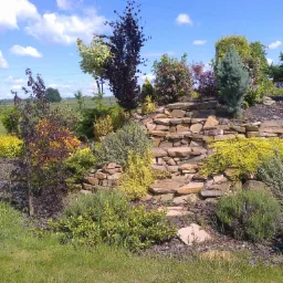 Ogród z kamienną kaskadą, różnorodne krzewy ozdobne i drzewa iglaste, trawnik w pierwszym planie, błękitne niebo z chmurami w tle.