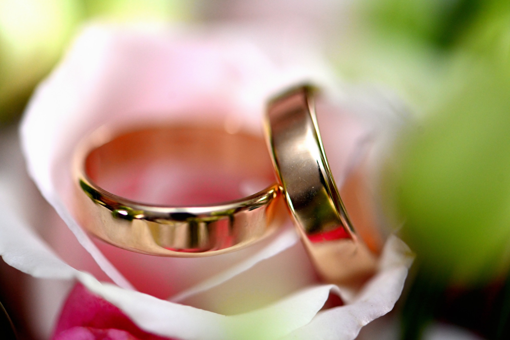 Dwa złote pierścionki ślubne spoczywają na delikatnych płatkach różowej róży, z zielonym tłem kwiatowym w tle.