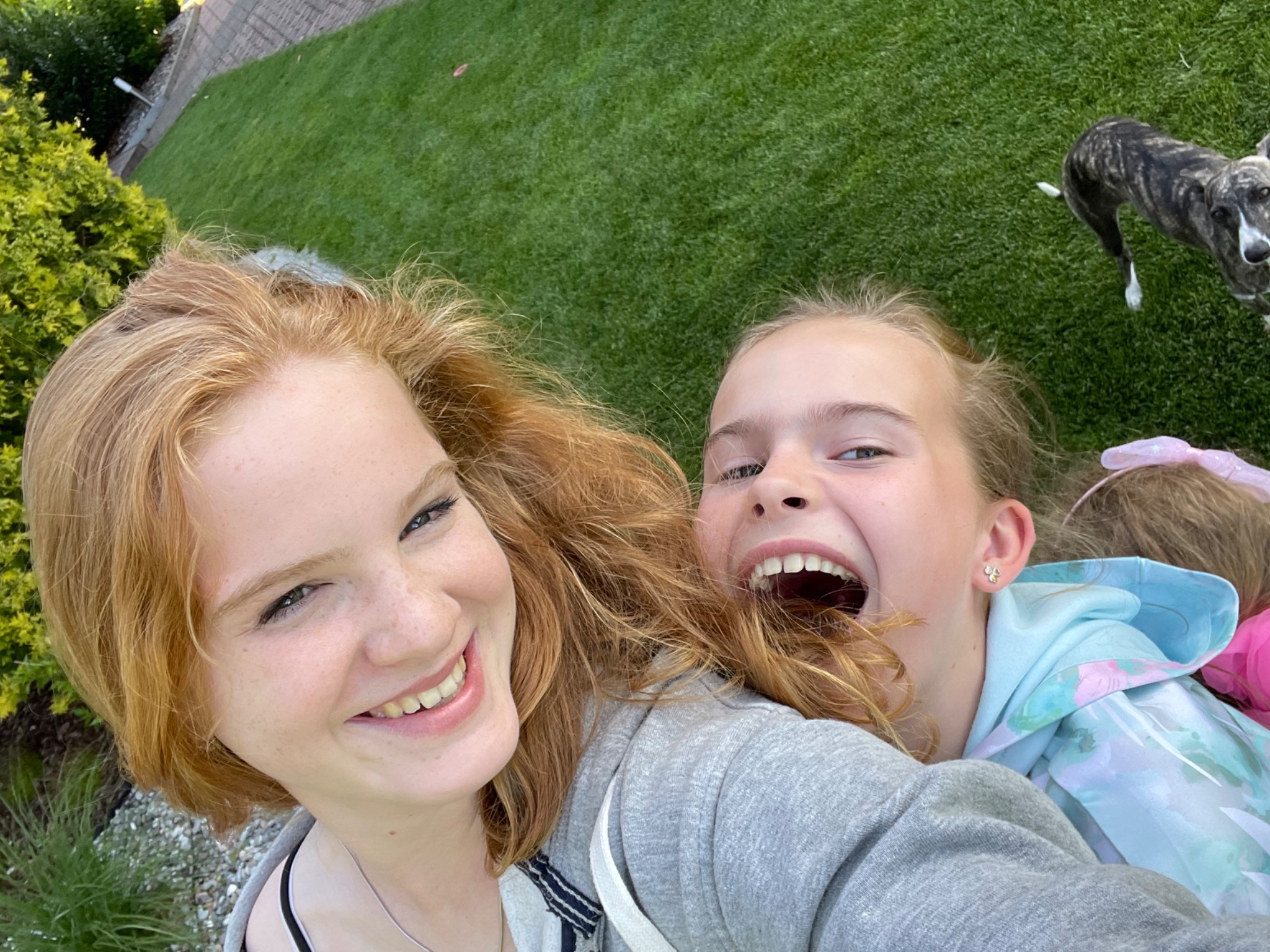 Uśmiechnięta nastolatka i dziewczynka z otwartymi ustami, z psem rasy chart w tle na trawniku.