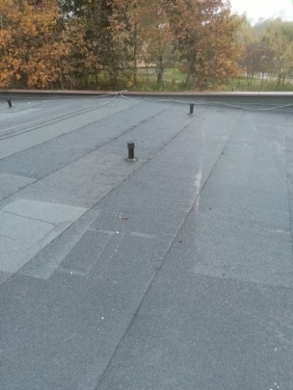 Płaski dach pokryty papą termozgrzewalną z widocznymi kominkami wentylacyjnymi. Tło stanowią drzewa z jesiennymi liśćmi.