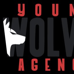 Young Wolves Agency - Wizerunek Marki Kraków